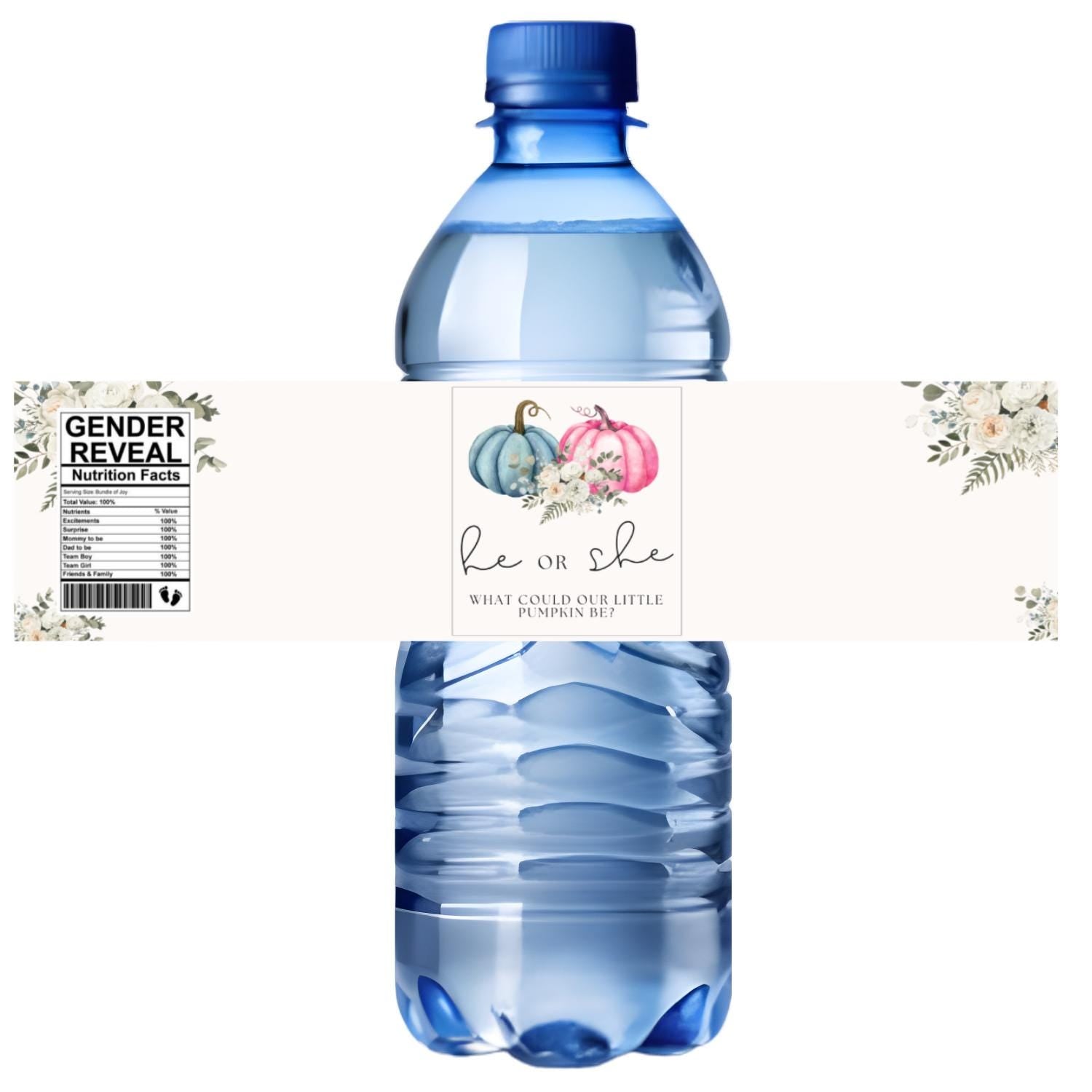 He or She What Could Our Little Pumpkin Be Water Bottle Labels| Gender Reveal Favors| 12ct| Glossy