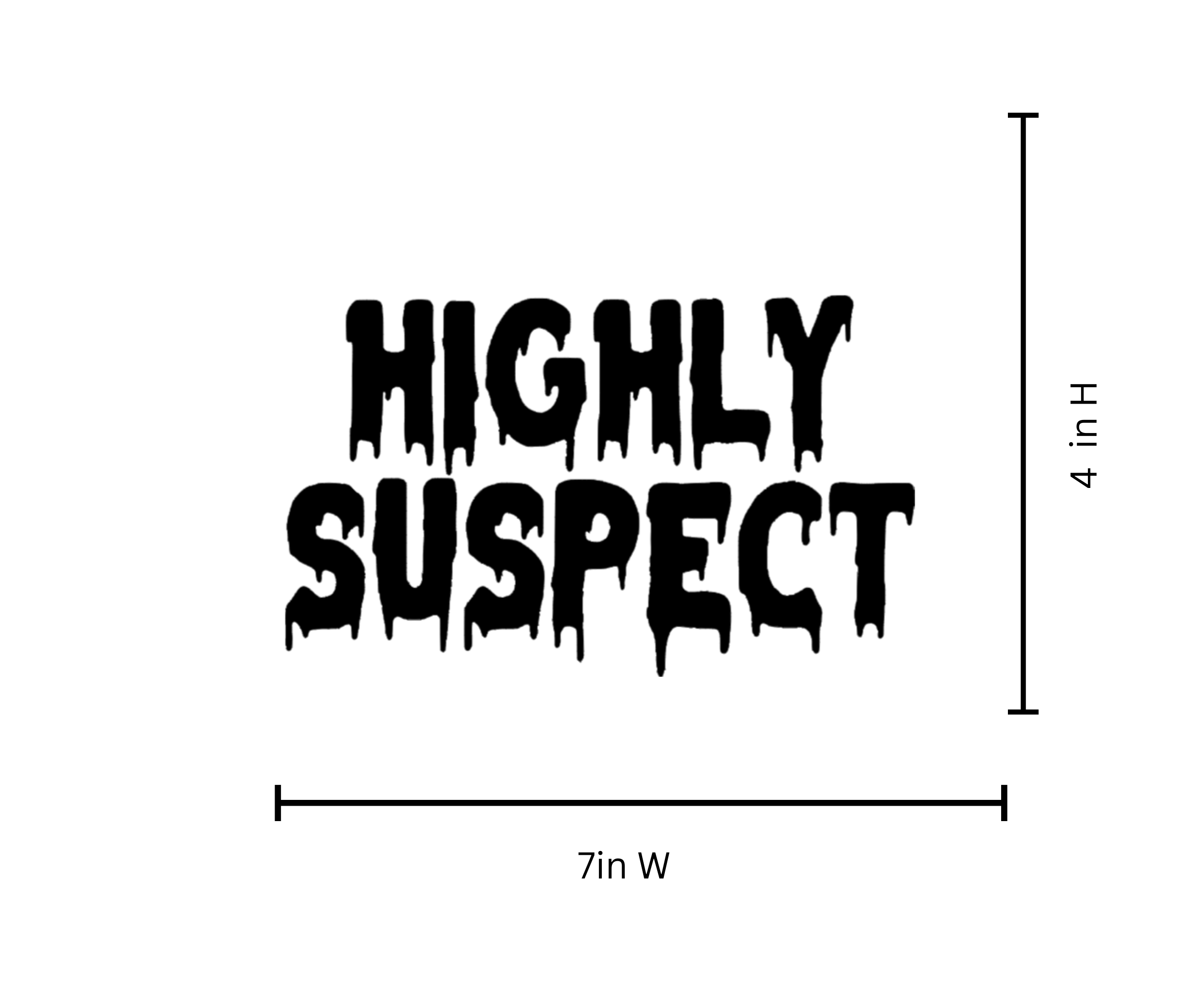Highly Suspect Iron On Vinyl Decal | Bold Statement Text | Heat Transfer HTV | No Background