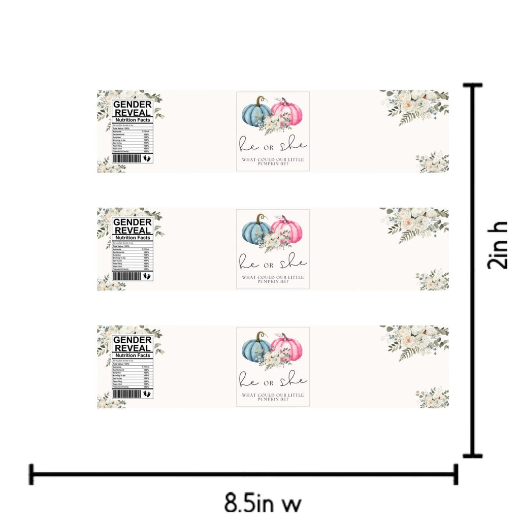 He or She What Could Our Little Pumpkin Be Water Bottle Labels| Gender Reveal Favors| 12ct| Glossy