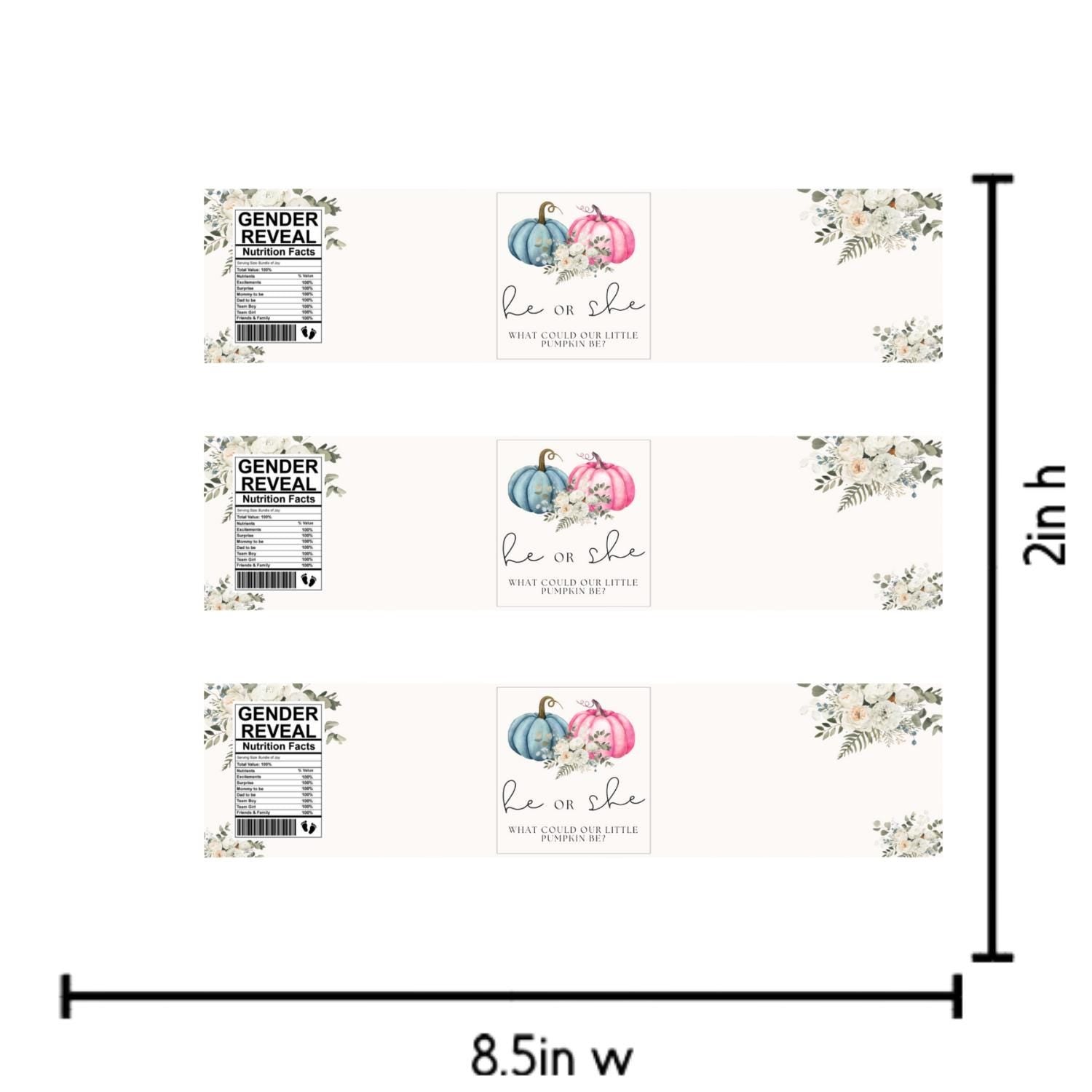 He or She What Could Our Little Pumpkin Be Water Bottle Labels| Gender Reveal Favors| 12ct| Glossy