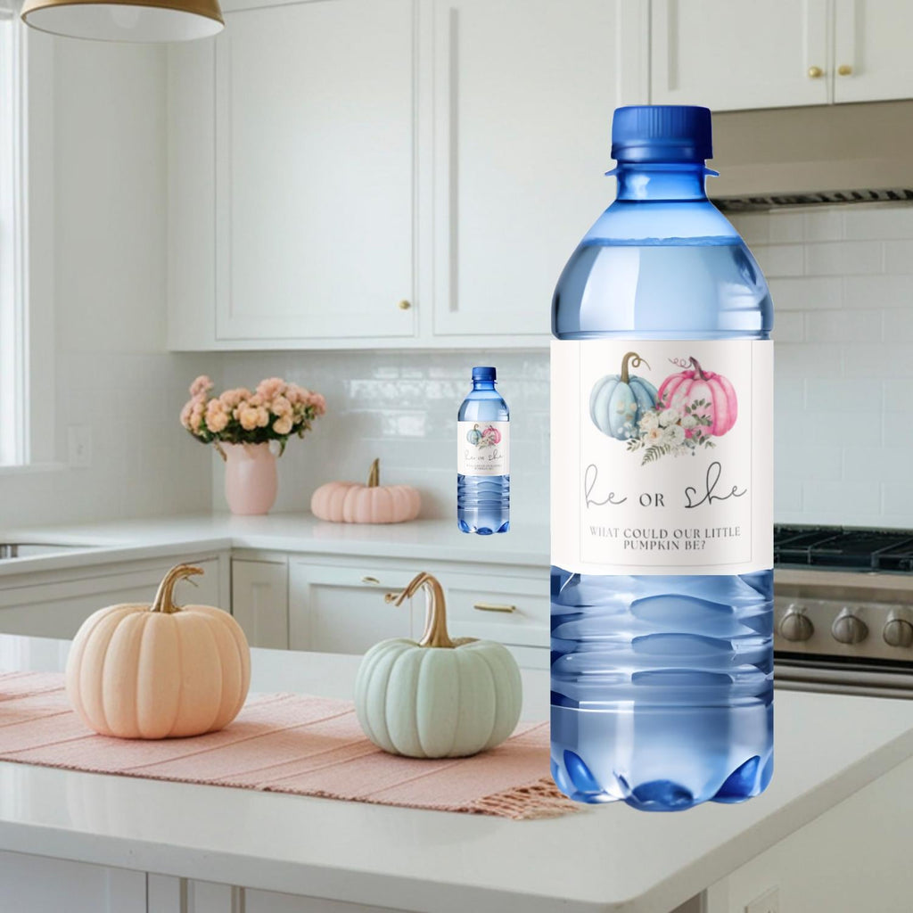 He or She What Could Our Little Pumpkin Be Water Bottle Labels| Gender Reveal Favors| 12ct| Glossy