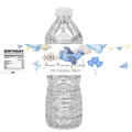 Oh How Time Flies, I'm Turning Two Water Bottle Labels | Boys 2nd Birthday Favors| 12 PCS | Glossy