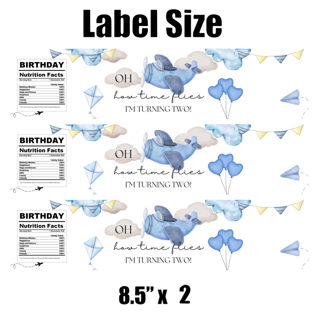 Oh How Time Flies, I'm Turning Two Water Bottle Labels | Boys 2nd Birthday Favors| 12 PCS | Glossy