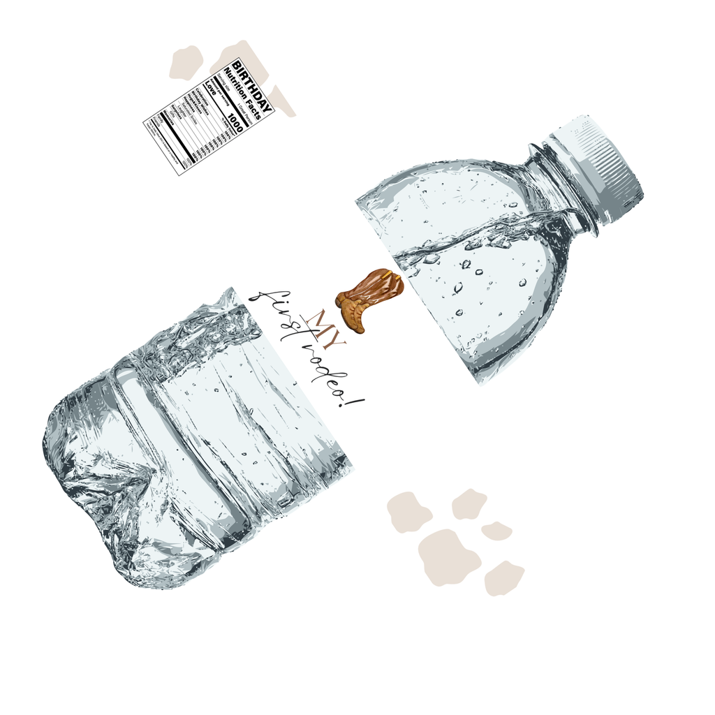 Cowgirl 1st Birthday Water Bottle Labels | Set Of 12 | My First Rodeo | Party Decor Western Theme