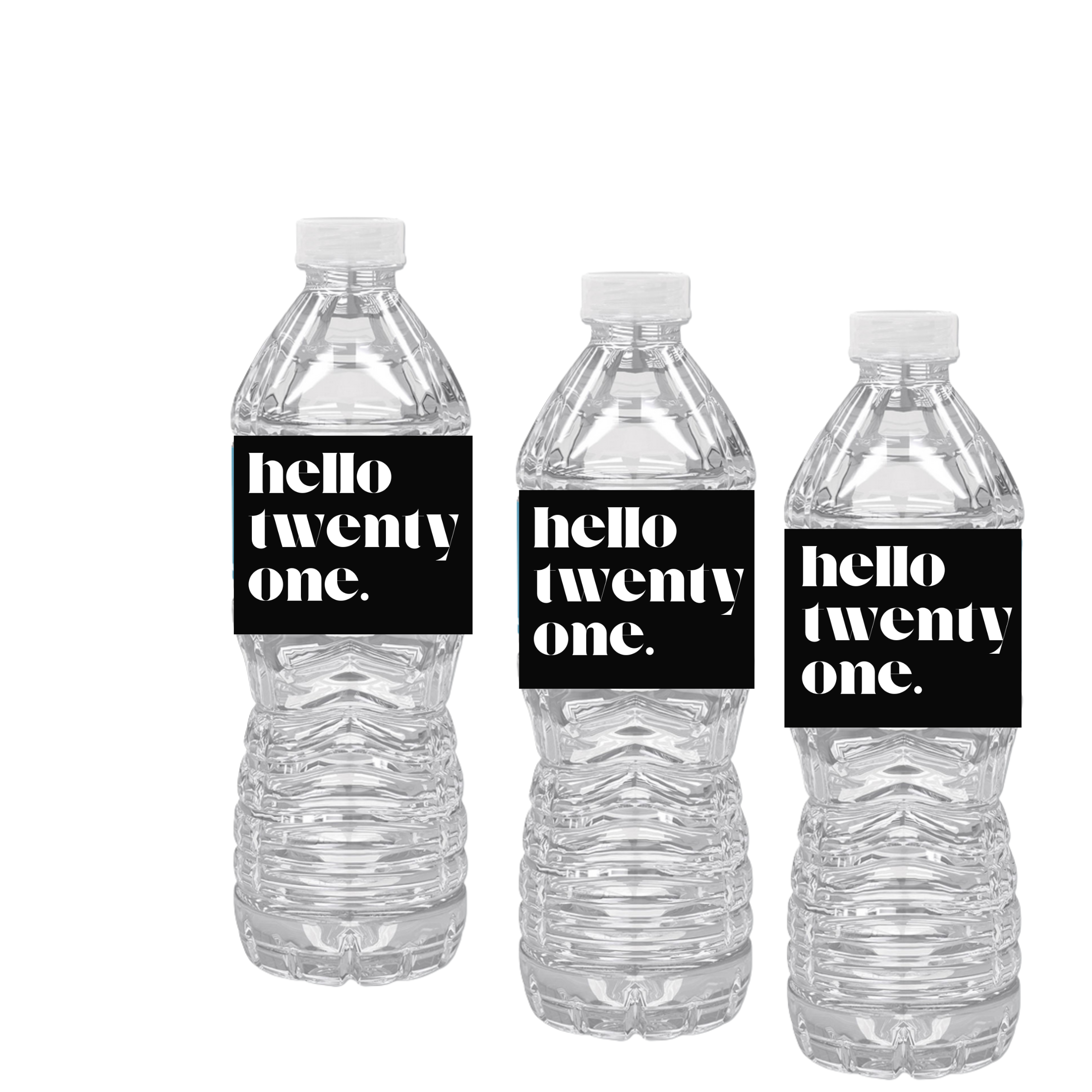 Hello Twenty One | 21st Birthday Water | Set Of 12| Elegant | Custom Drink Wraps Birthday