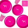Hot Pink Dog Party Plates & Cups| Inspired Dog| Set of 60pcs| Party Plates Set