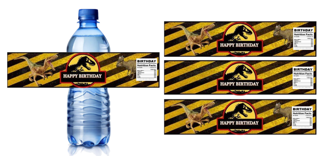 Dinosaur Theme Birthday Water Bottle Labels, Happy Birthday Design, 8.5x2 inches