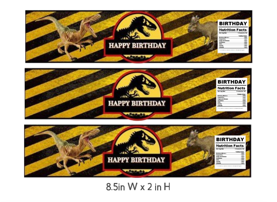 Dinosaur Theme Birthday Water Bottle Labels, Happy Birthday Design, 8.5x2 inches