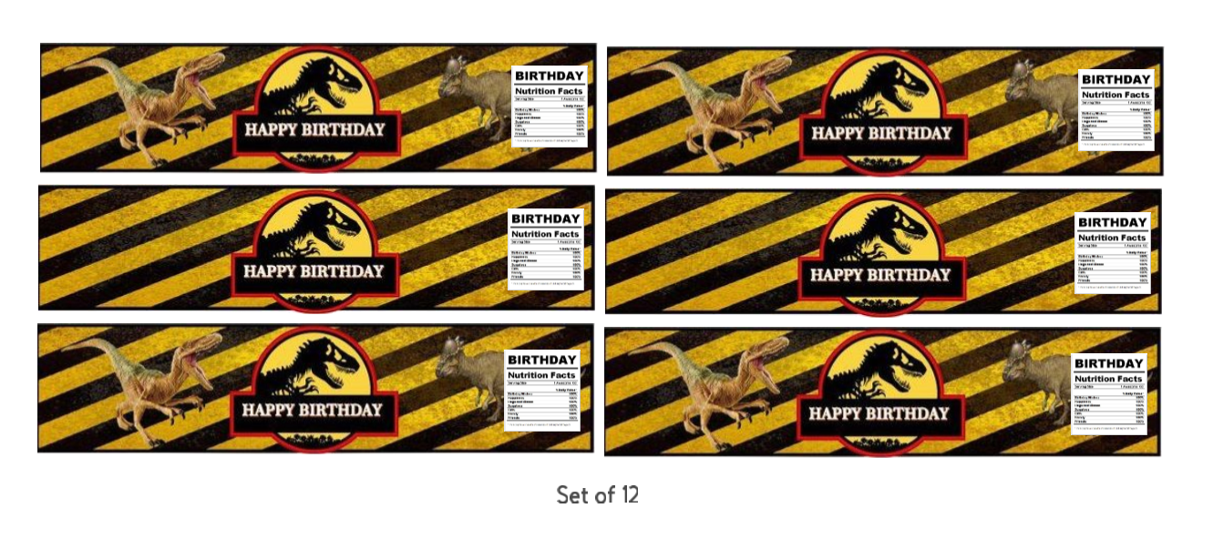 Dinosaur Theme Birthday Water Bottle Labels, Happy Birthday Design, 8.5x2 inches