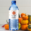 Our Little Pumpkin Is On The Way| Baby Shower Water Bottle Labels | Set of 12 | Table Accents