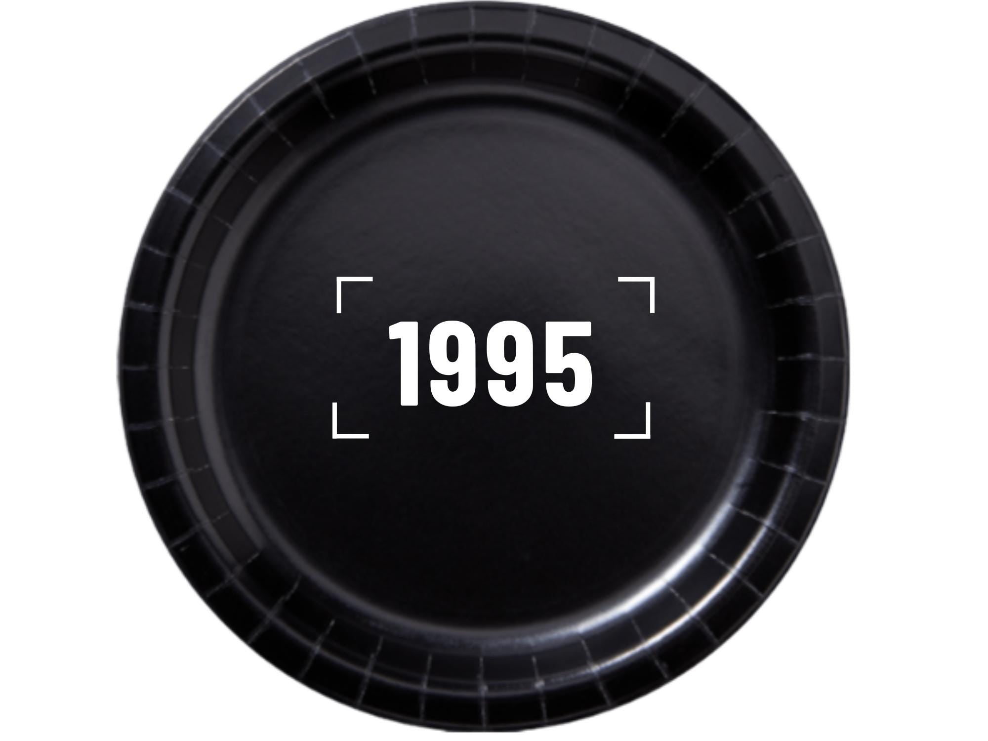 1995 Birthday Party Supplies | Black Paper Plates Set | Retro Celebration Decor