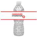 Funny Hangover Hydration Water Bottle Labels| Set Of 12 | Party Table Accents | Humor Drink Wraps