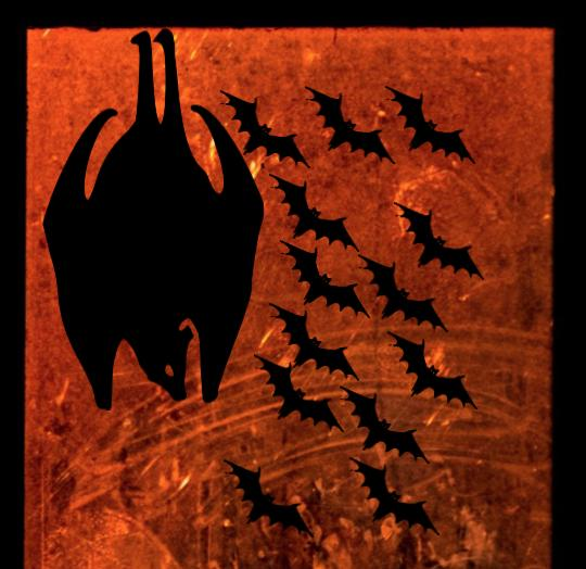 Spooky Bat Silhouette | Halloween Window Cling | Large Static Decal | Creepy Window Decor | Indoor Halloween Display