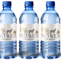 Safari 2nd Birthday Water Bottle Labels | Two Wild Theme | Glossy Wild Animal Party Decor | Peel and Stick