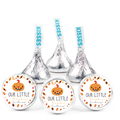 Our Little Pumpkin Is On The Way Baby Shower Stickers | Fall Candy Labels | Glossy | 100ct