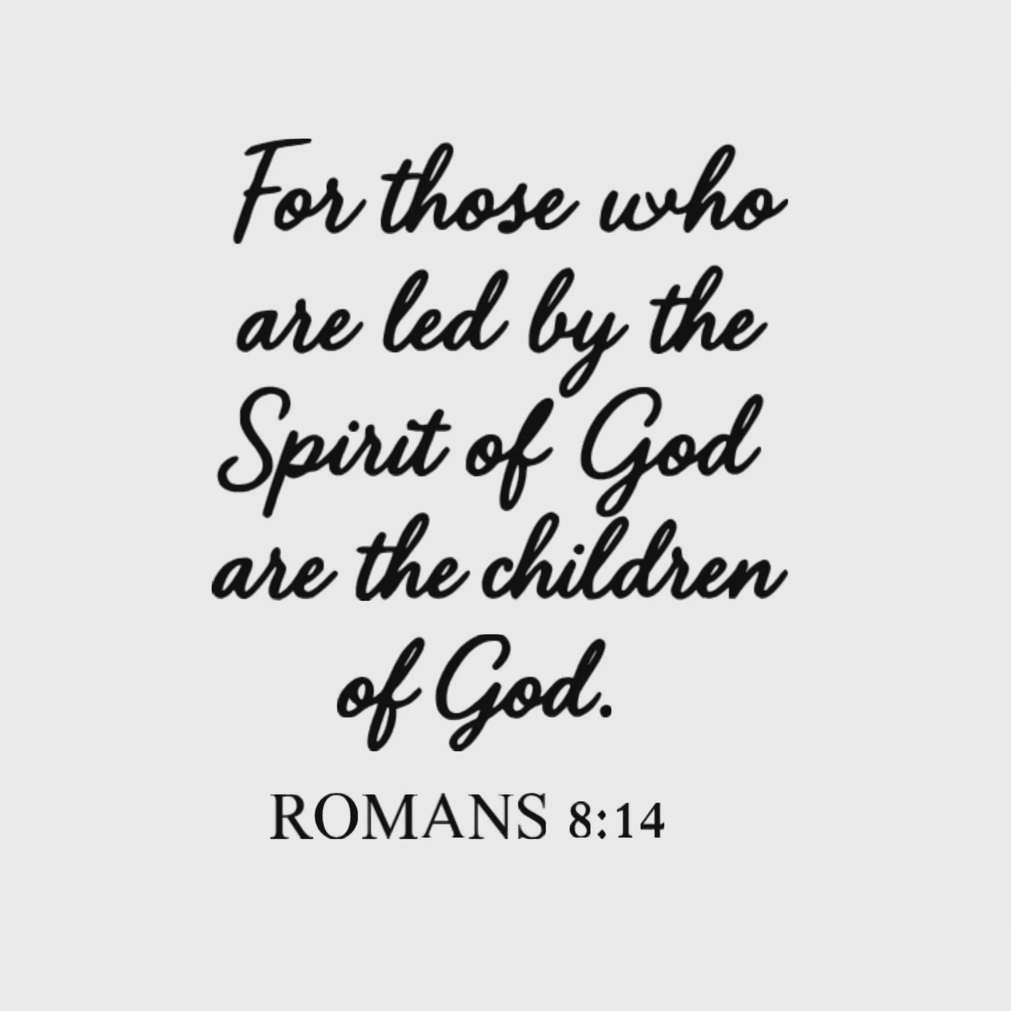 Romans 8:14 Scripture Wall Decal, Religious Quote (11.5x14 inches)