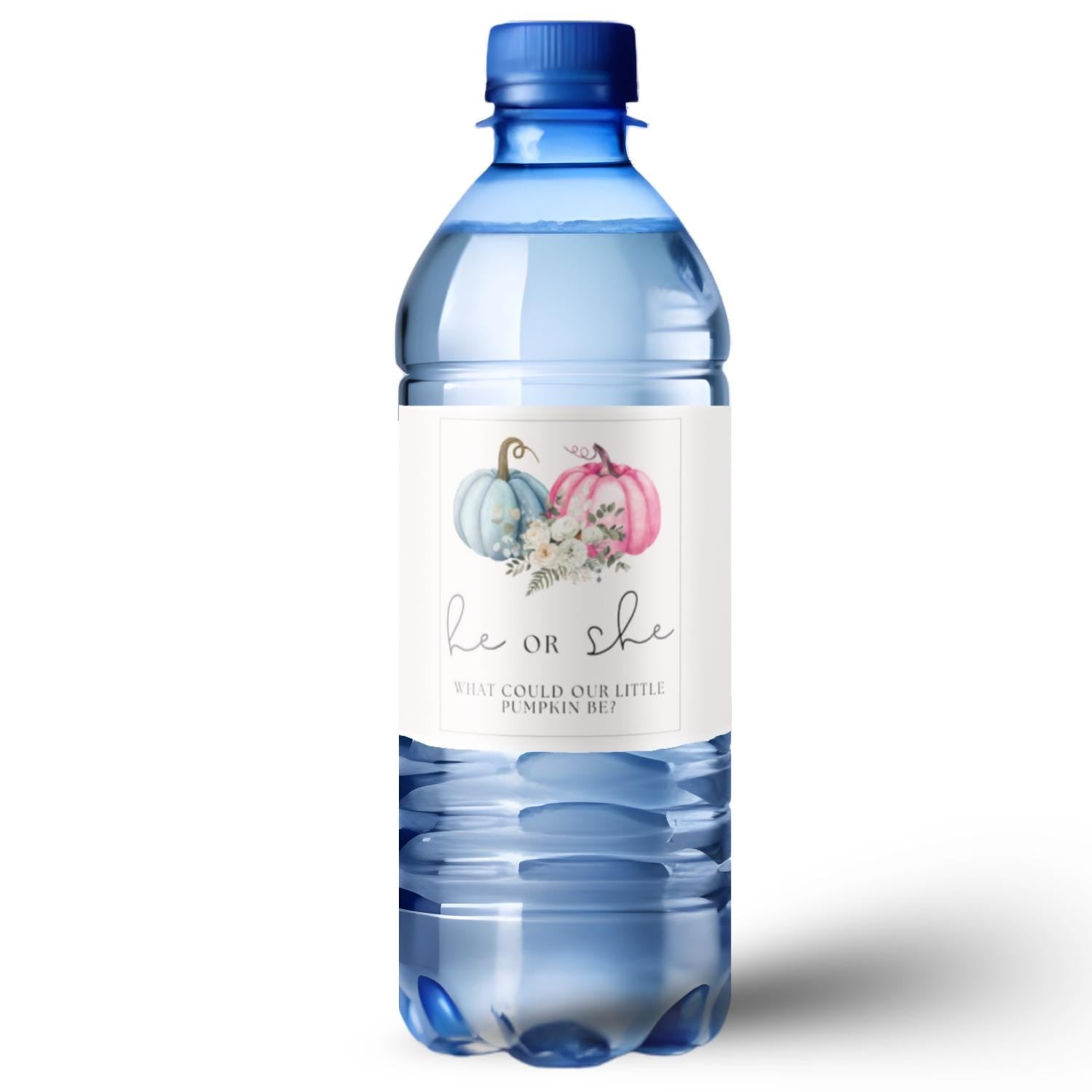 He or She What Could Our Little Pumpkin Be Water Bottle Labels| Gender Reveal Favors| 12ct| Glossy