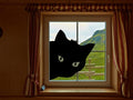 Halloween Black Cat Window Cling Decal | Reusable Spooky Silhouette Decal | 11.5x20in