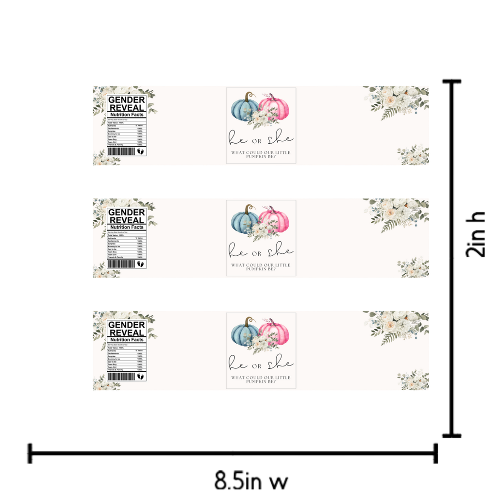 He or She What Could Our Little Pumpkin Be Water Bottle Labels| Gender Reveal Favors| 12ct| Glossy