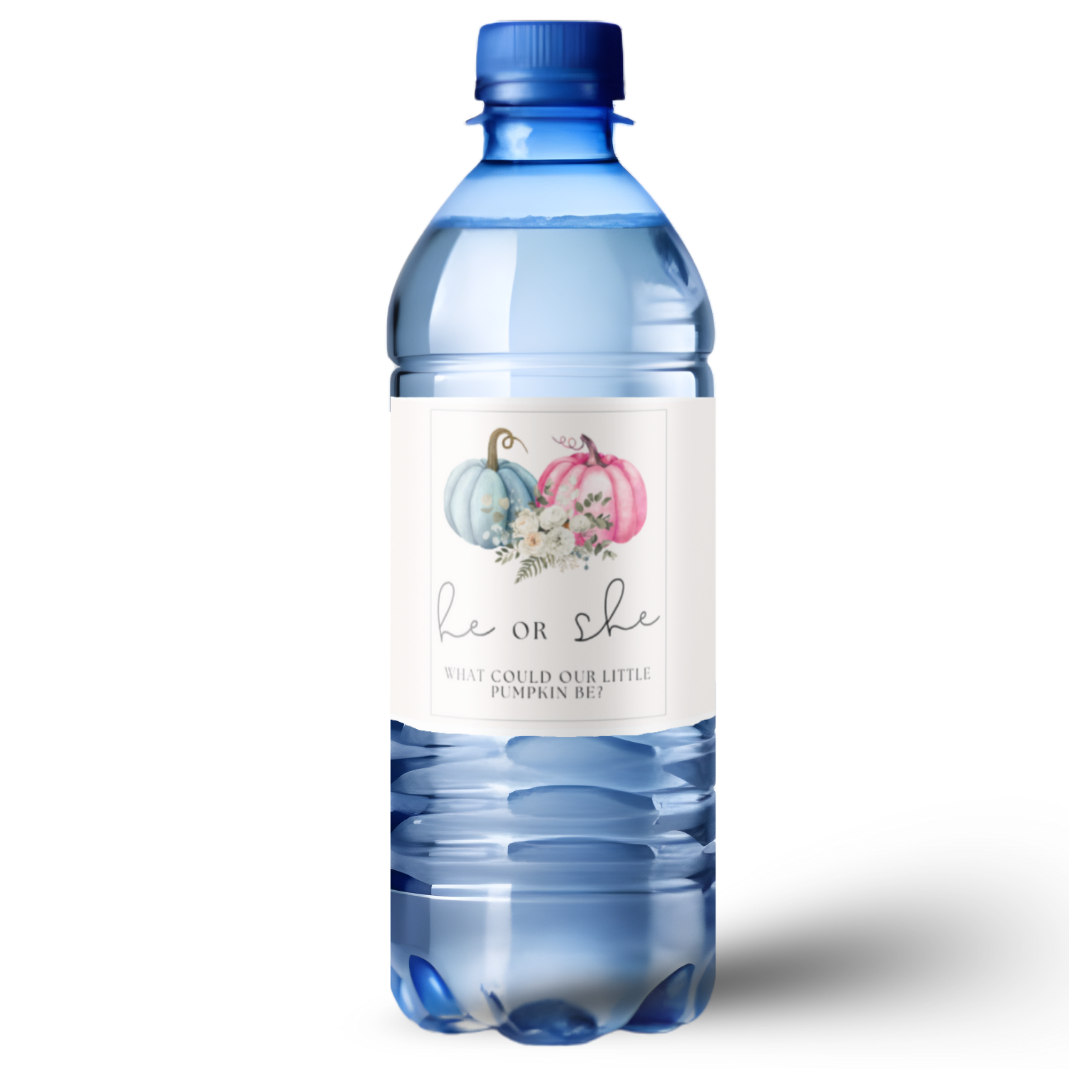 He or She What Could Our Little Pumpkin Be Water Bottle Labels| Gender Reveal Favors| 12ct| Glossy