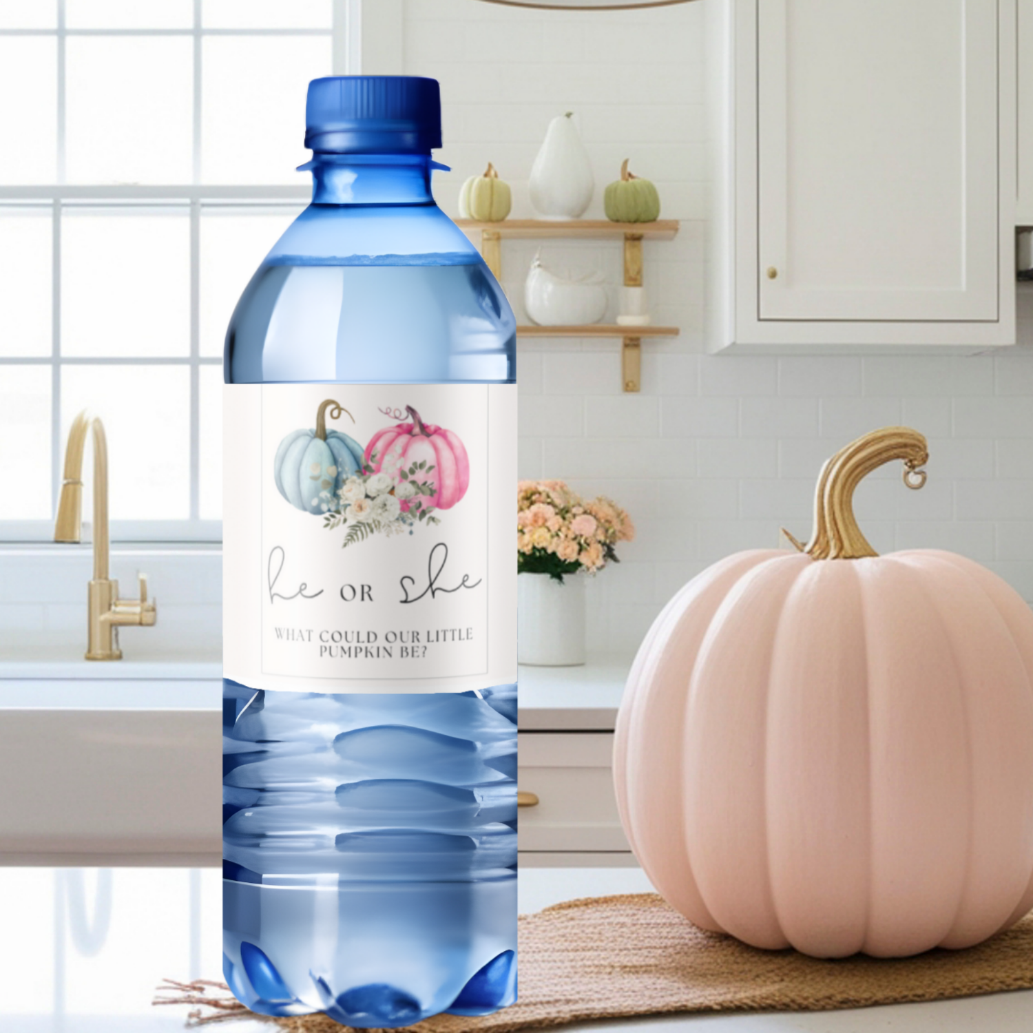 He or She What Could Our Little Pumpkin Be Water Bottle Labels| Gender Reveal Favors| 12ct| Glossy
