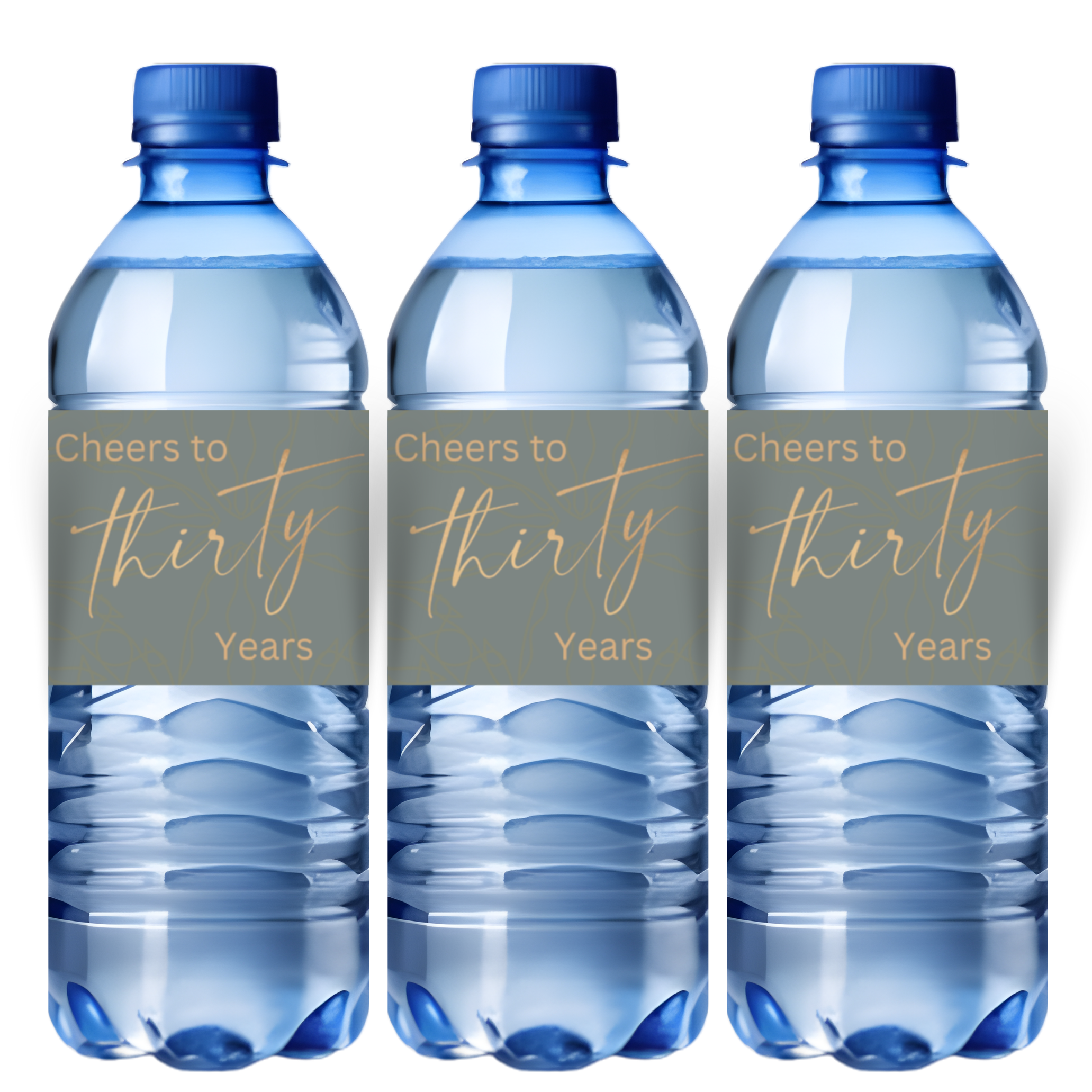 Cheers to 30 Years Water Bottle Labels | 30th Birthday Party table Accents |Glossy| 12ct|Green